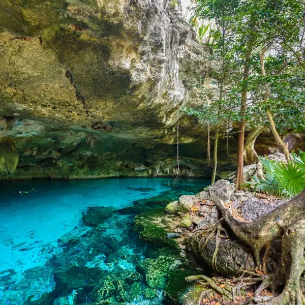intersight Tulum