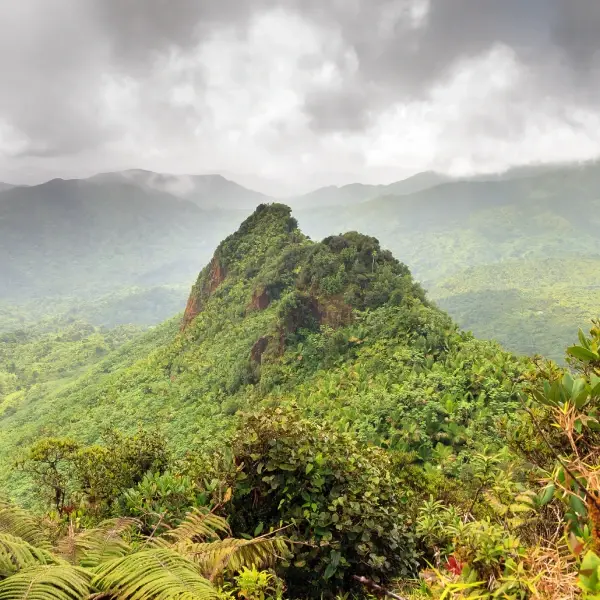 intersight El Yunque National Forest