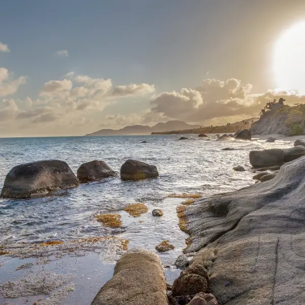 intersight Vieques