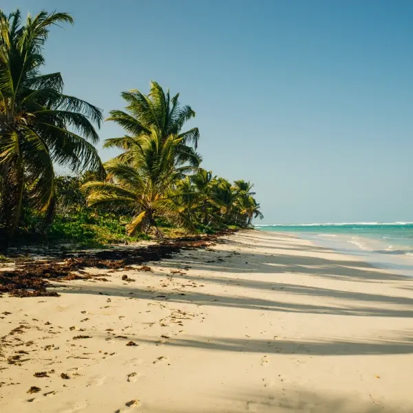 intersight Culebra