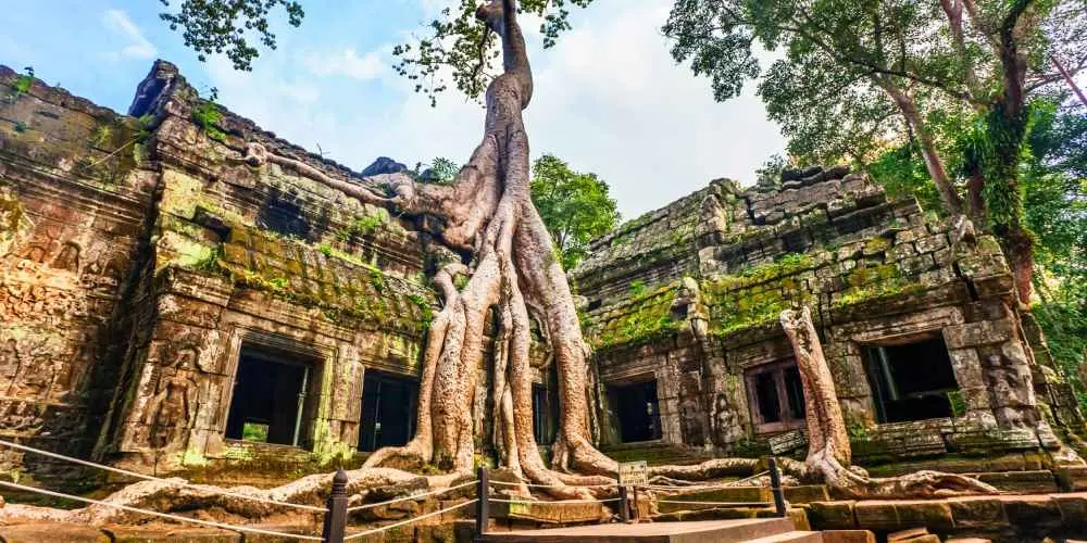 Treasures Of Indochina