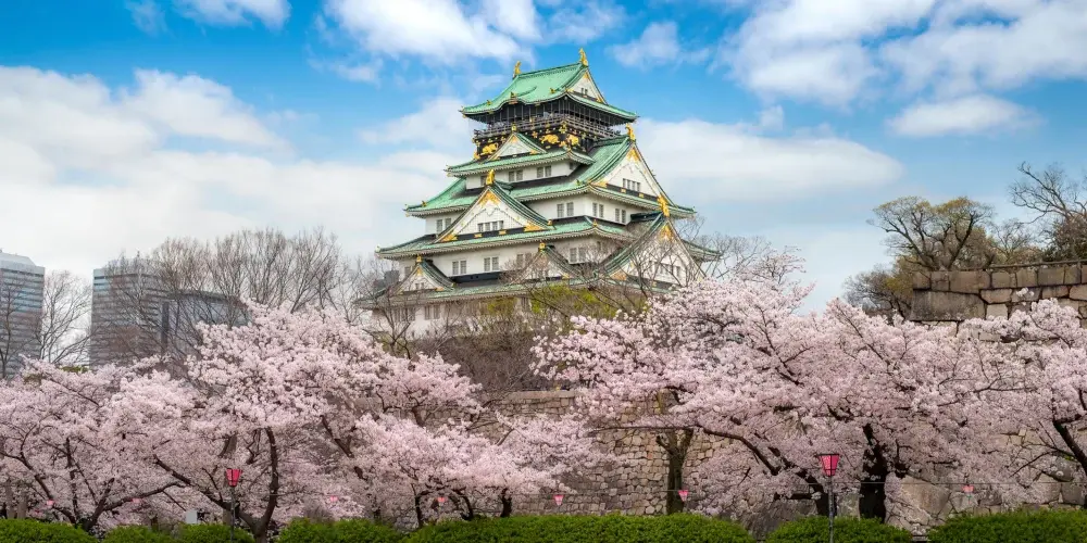 Japan & South Korea Highlights