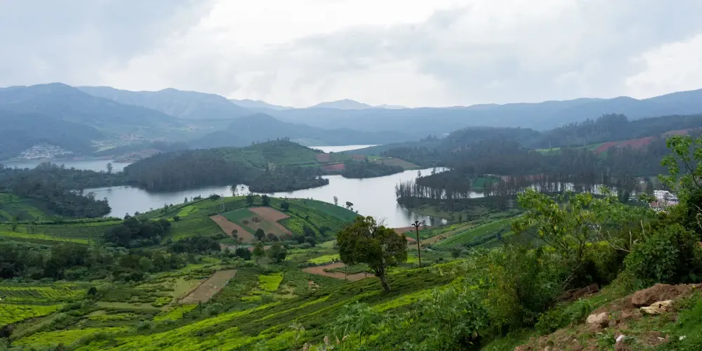 Nilgiri Mountain Retreat