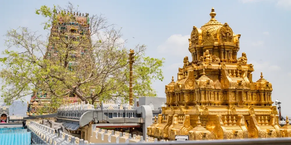 Andhra Explorer Odyssey