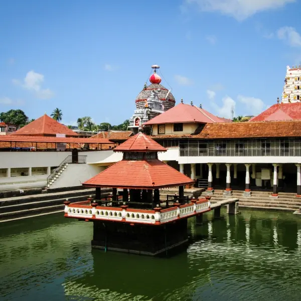 Arabian Sea Odyssey