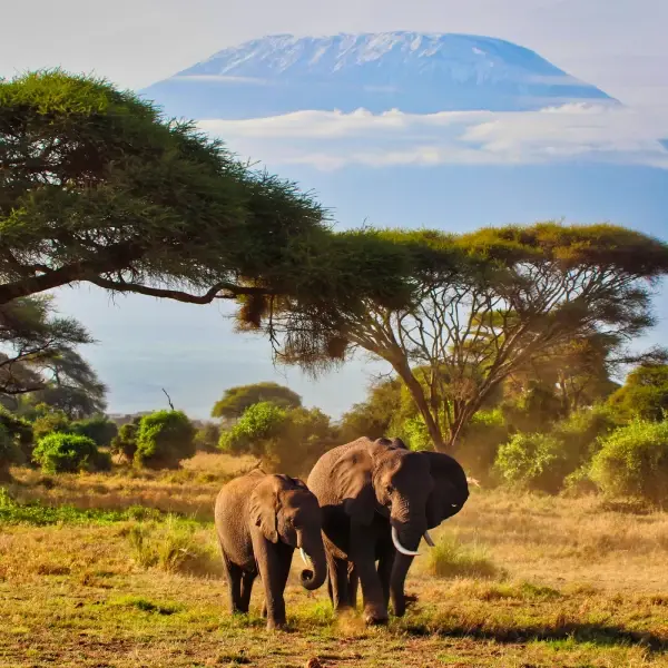 East & South Africa Adventure