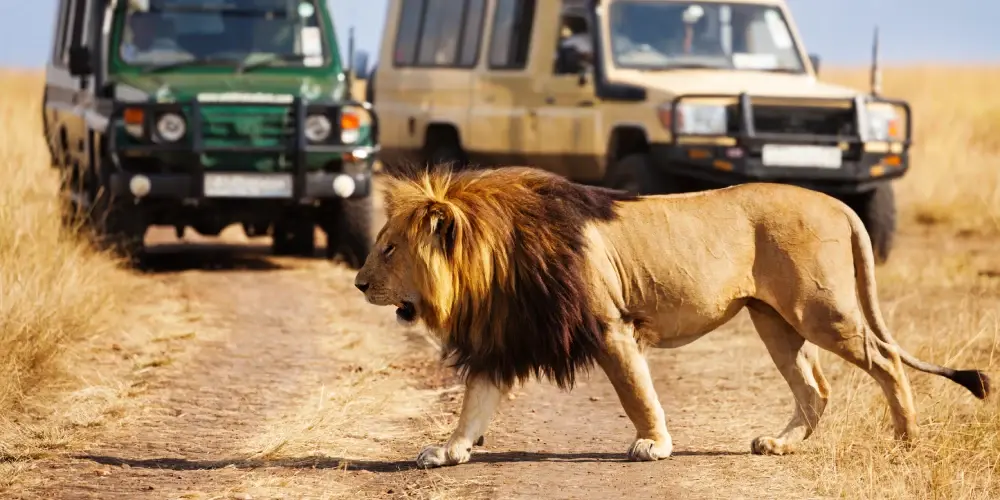 Kenya Classic Safari Adventure