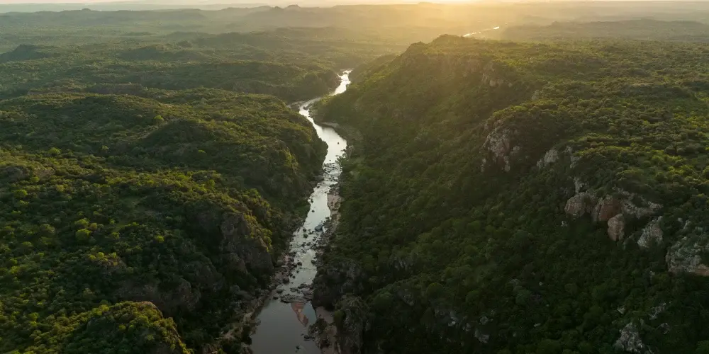 Majestic South Africa