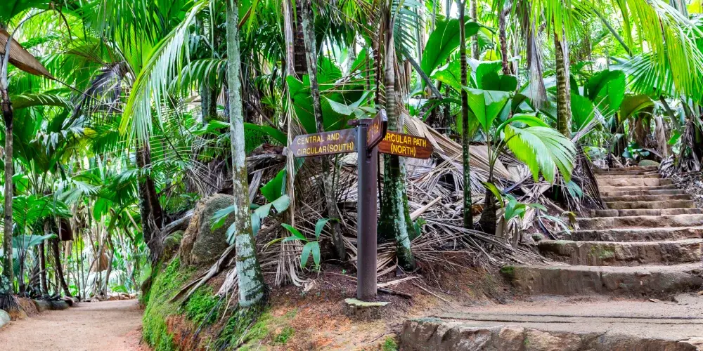 Tropical Seychelles Escape