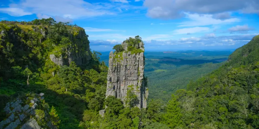 Vibrant South Africa