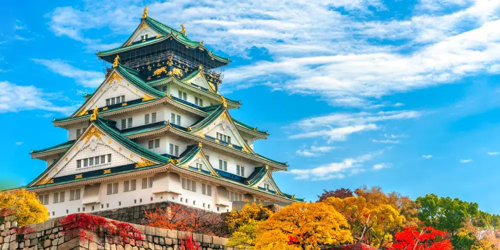 Discover the magic of Japan