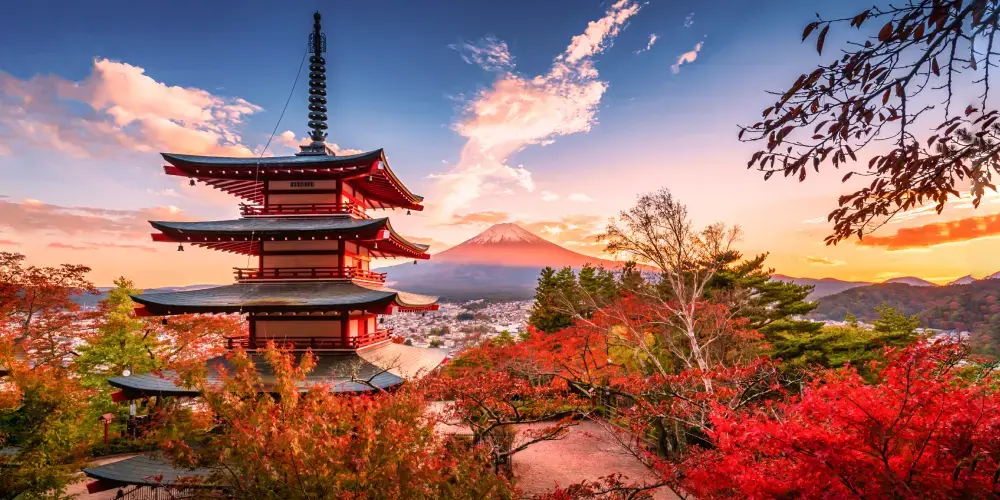 Discover the magic of Japan