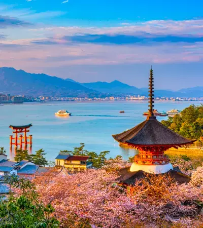 Discover the magic of Japan