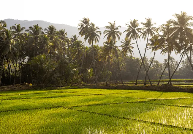 Kerala